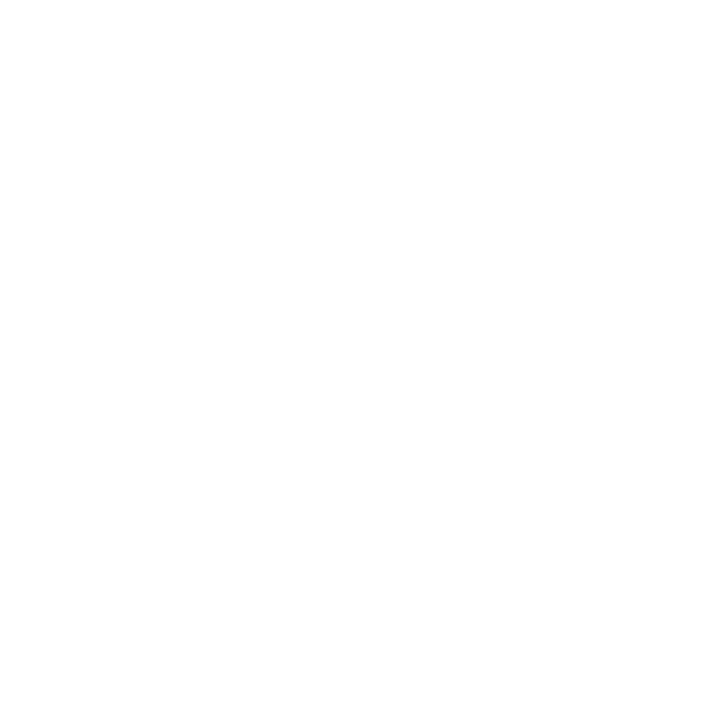 Play Icon
